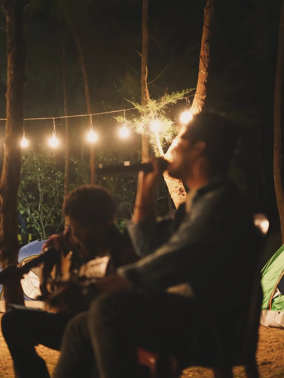 Night camping Rishikesh